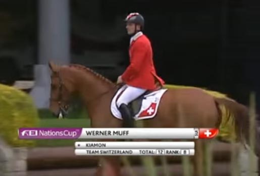 Werner Muff